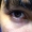 Perfil de k_ryus