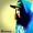 Avatar de laahariees46