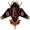 Avatar de MiOtroStudio