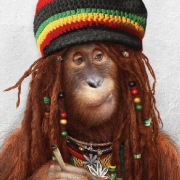 Avatar de Zequi