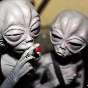 Avatar de ika84