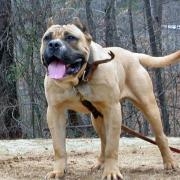 Avatar de PresoCanario
