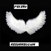 Avatar de elpekenio
