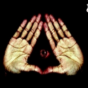 Avatar de Flavor Fingers