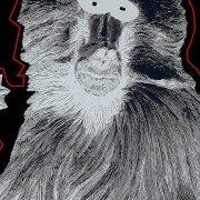 Avatar de becker6