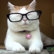Avatar de CamSSa