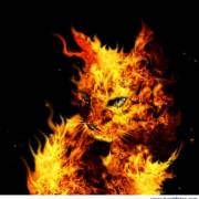 Avatar de patxi