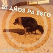 Avatar de Brian Rulezz