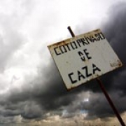 Avatar de caza