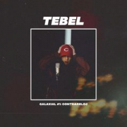 Avatar de Tebel
