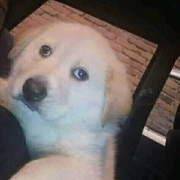 Avatar de DobleTap