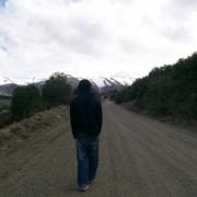 Avatar de Arlekinn