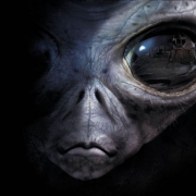Avatar de GoldBrain