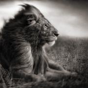 Avatar de LeonZion