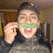 Avatar de liofree