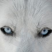 Avatar de kan11