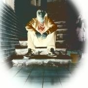 Avatar de packolatronick