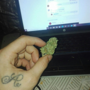 Avatar de J.MadNess