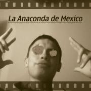 Avatar de kamce