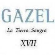 Avatar de gazel