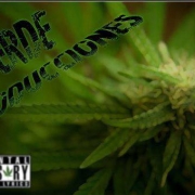Avatar de Verde Producciones