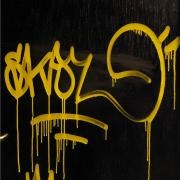 Avatar de Skaz
