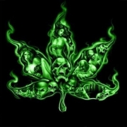 Avatar de Knabiz.kanz