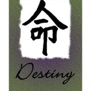 Avatar de destiny