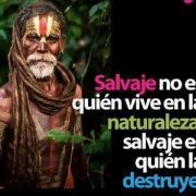 Avatar de seju