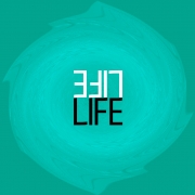 Avatar de Ferran Ruiz