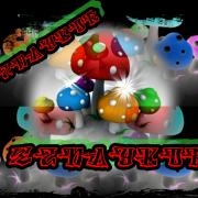 Avatar de EznaykorEvolucion