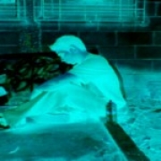 Avatar de BisneMc