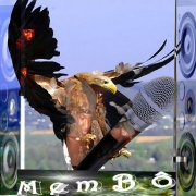 Avatar de Membô
