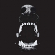Avatar de AKnosotros