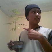 Avatar de mcpulsar
