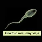 Avatar de no tengo