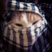 Avatar de Bill