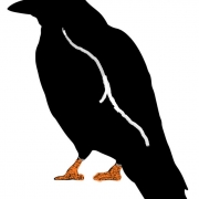 Avatar de crows