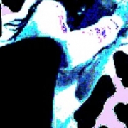 Avatar de Dashala Hail