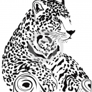 Avatar de =00E=