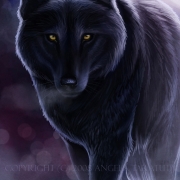 Avatar de Wolf