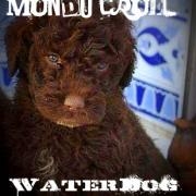 Avatar de WaterDog