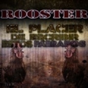 Avatar de roosterlga