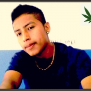 Avatar de aries73