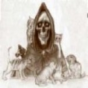 Avatar de expos