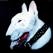 Avatar de BigBullT
