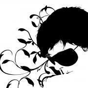 Avatar de 5kin