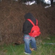 Avatar de ElMaes