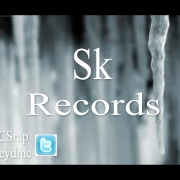 Avatar de SkRecords