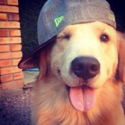 Avatar de DacS